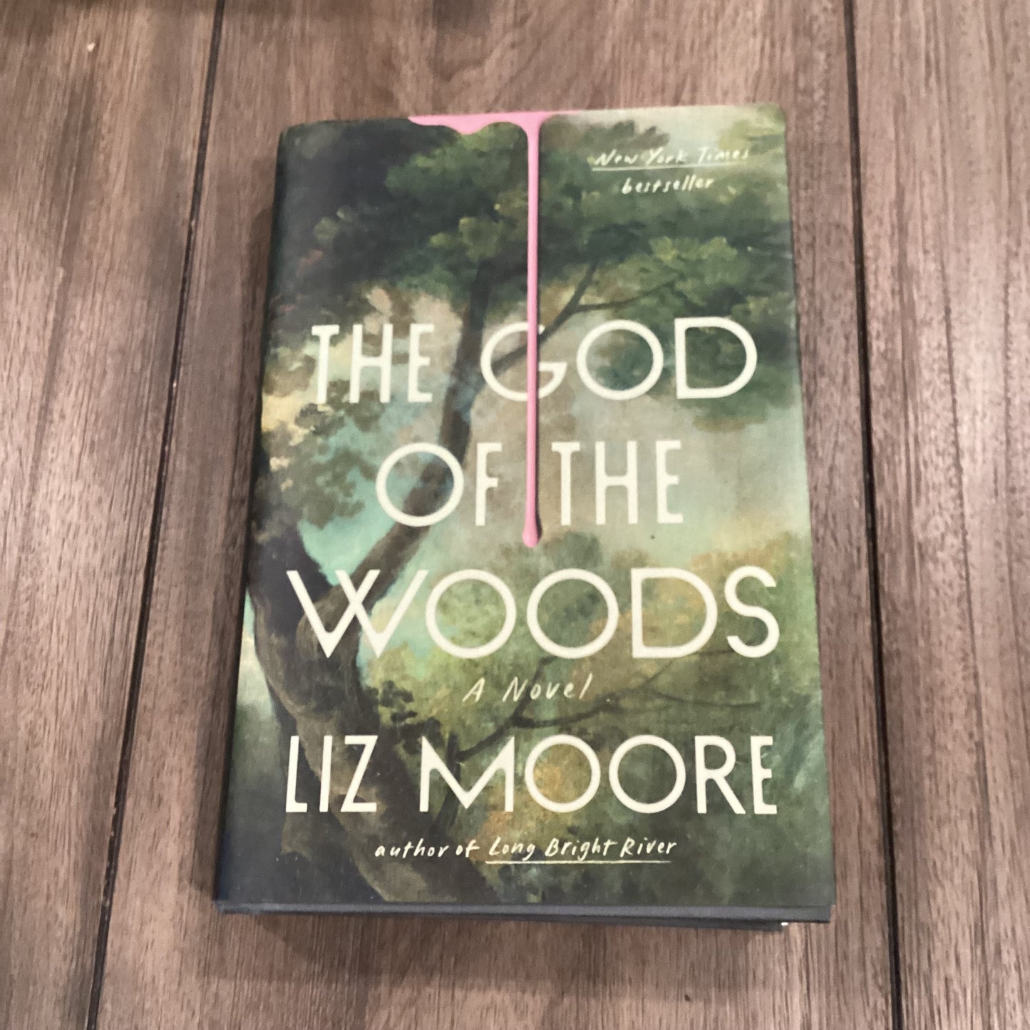 The God of the Woods
By Liz Moore