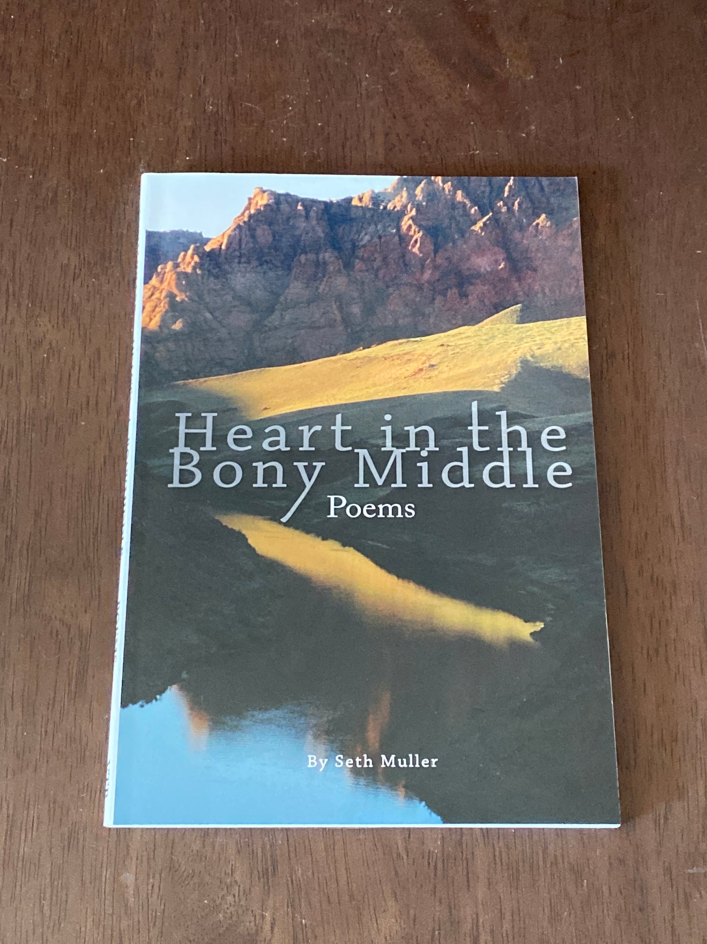 Heart in the Bony Middle
Poems
By Seth Muller
