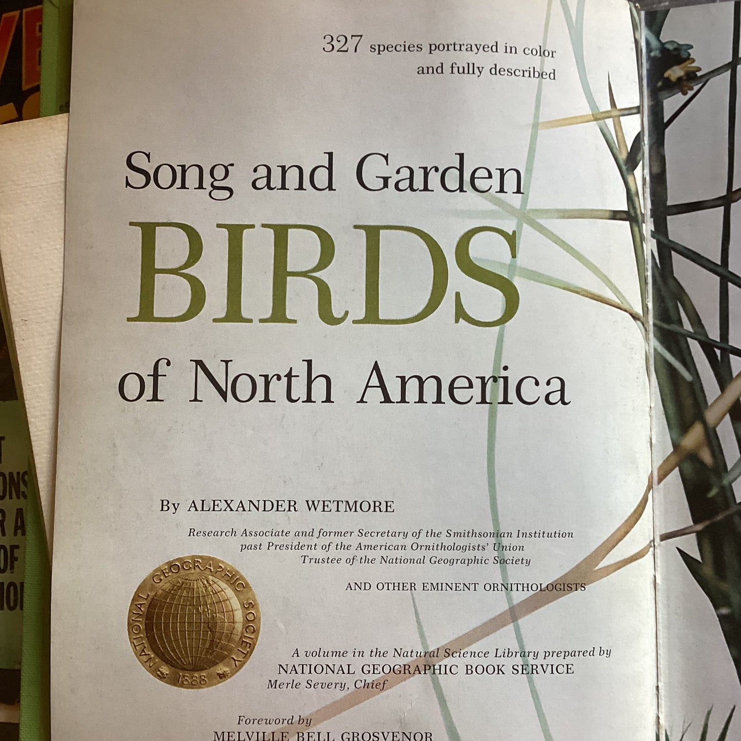 Song and Garden Birds of North America
By Alexander Wetmore