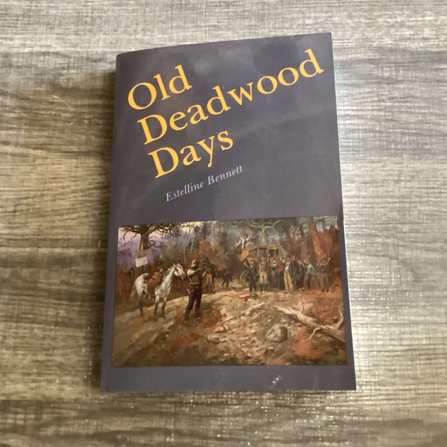 Old Deadwood Days
By Estelline Bennett