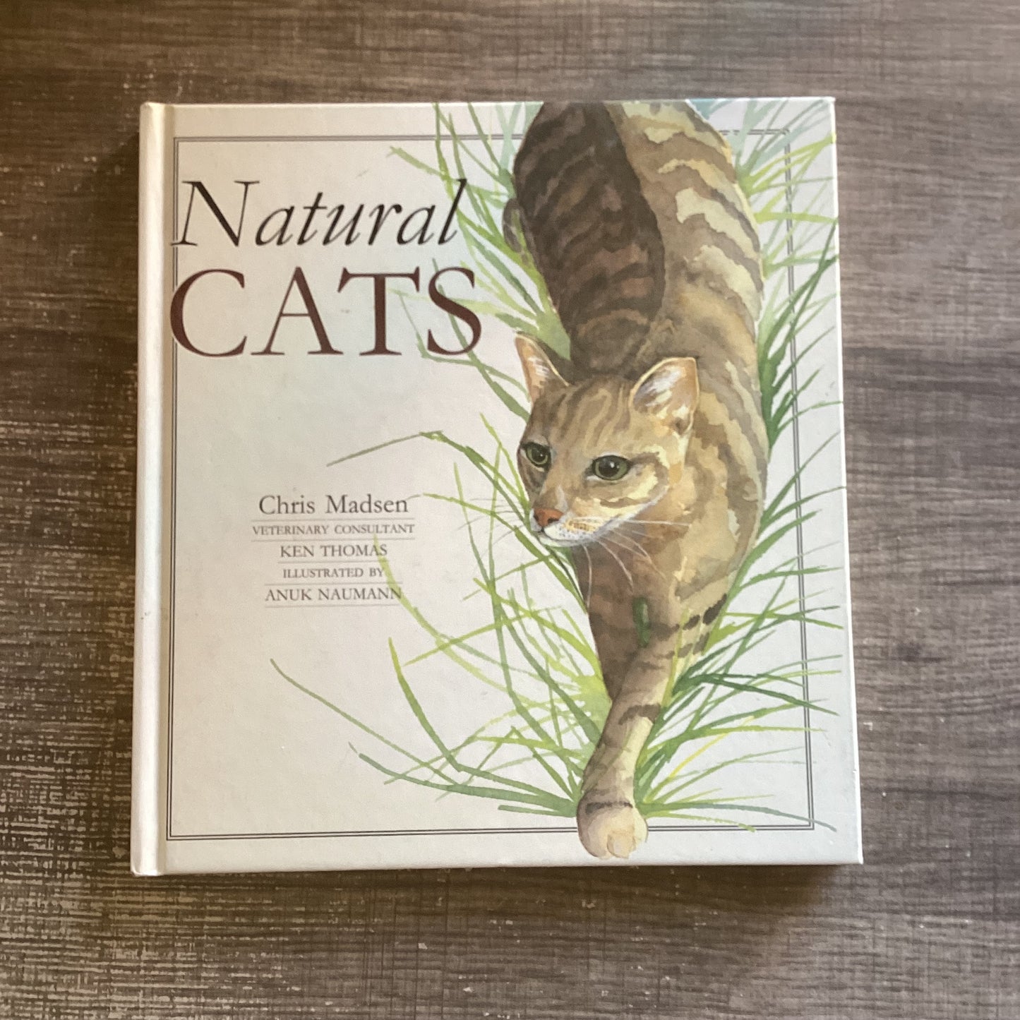 Natural Cats
By Chris Madsen