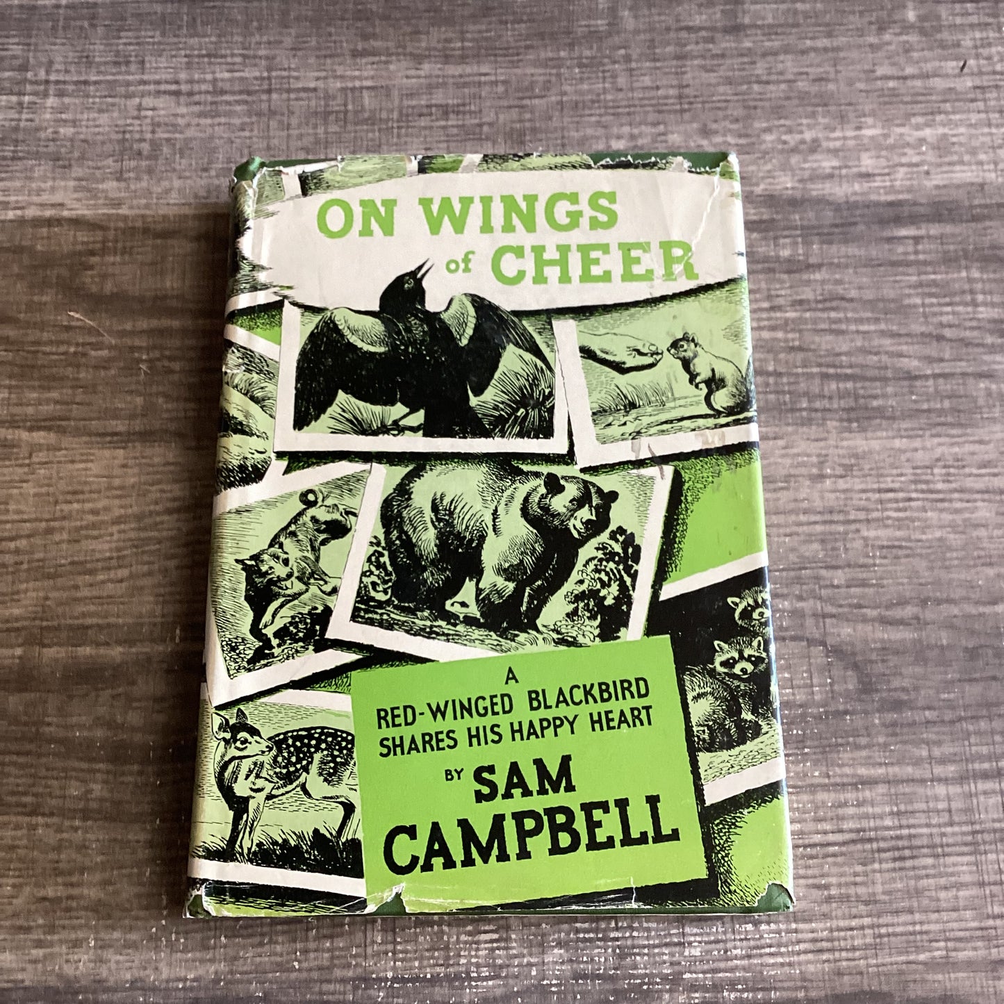 On Wings of Cheer 
A Red- Winged Blackbird Shares her Happy Heart 
By Sam Campbell