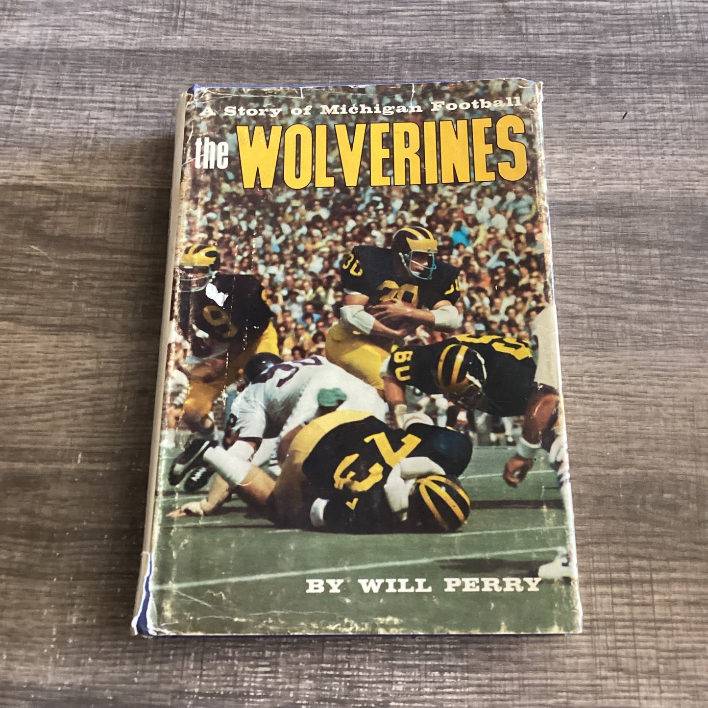 The Wolverines
A study in Michigan football
By Will Perry