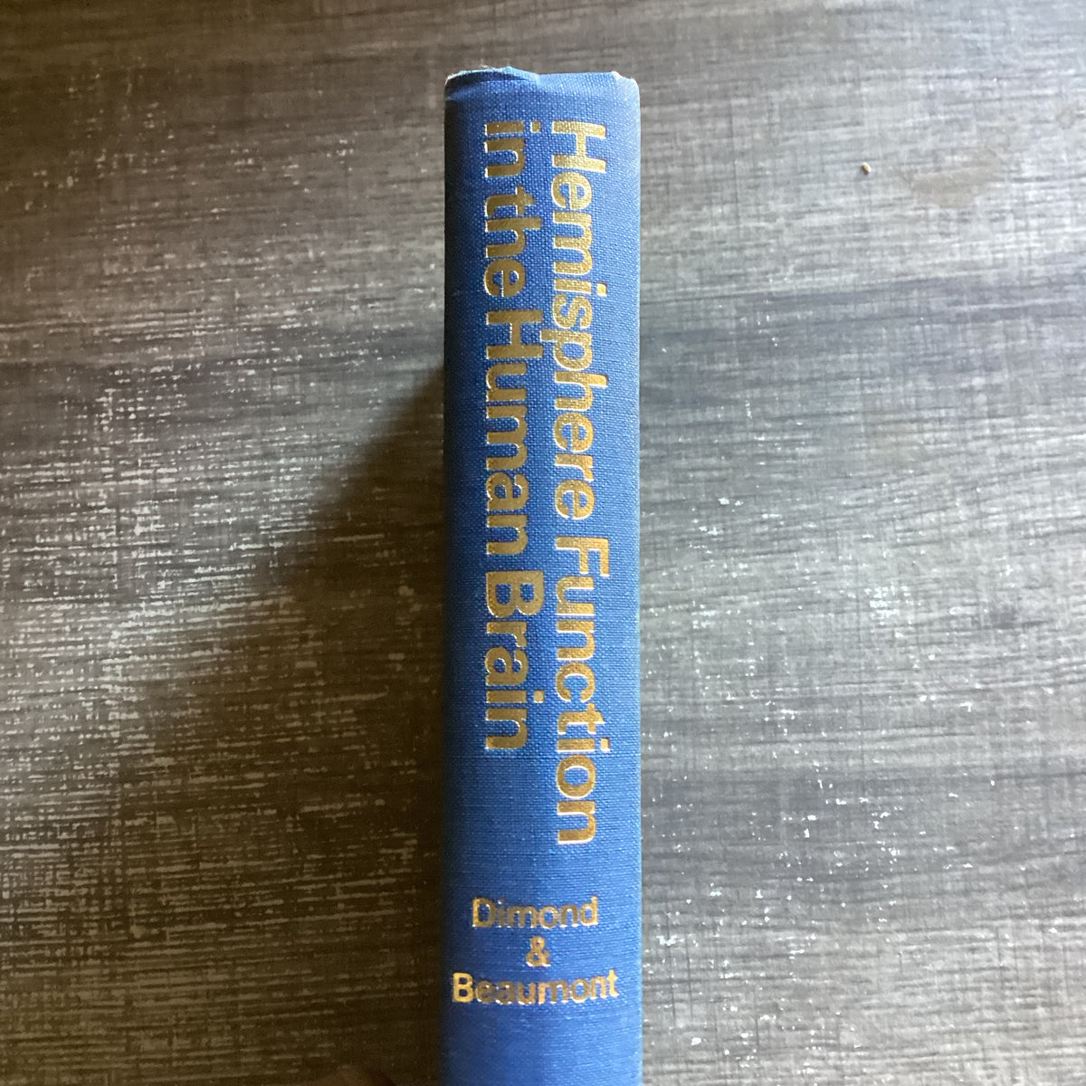Hemisphere Function in the Human Brain
By Diamond & Beaumont