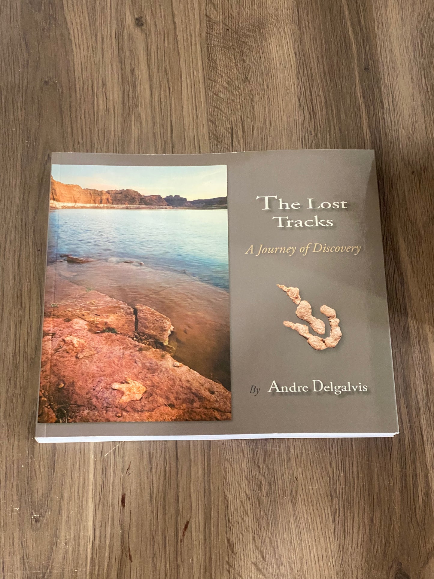 The Lost Tracks
A Journey of Discovery 
By Andre Delgalvis
Signed