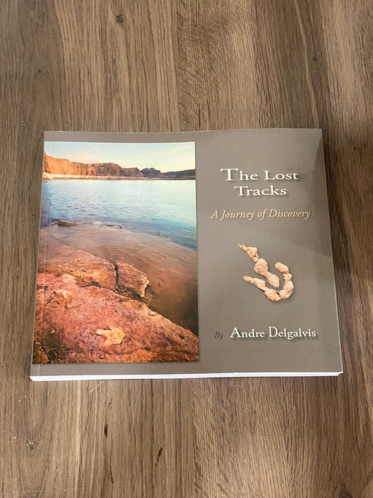 The Lost Tracks
A Journey of Discovery 
By Andre Delgalvis
Signed